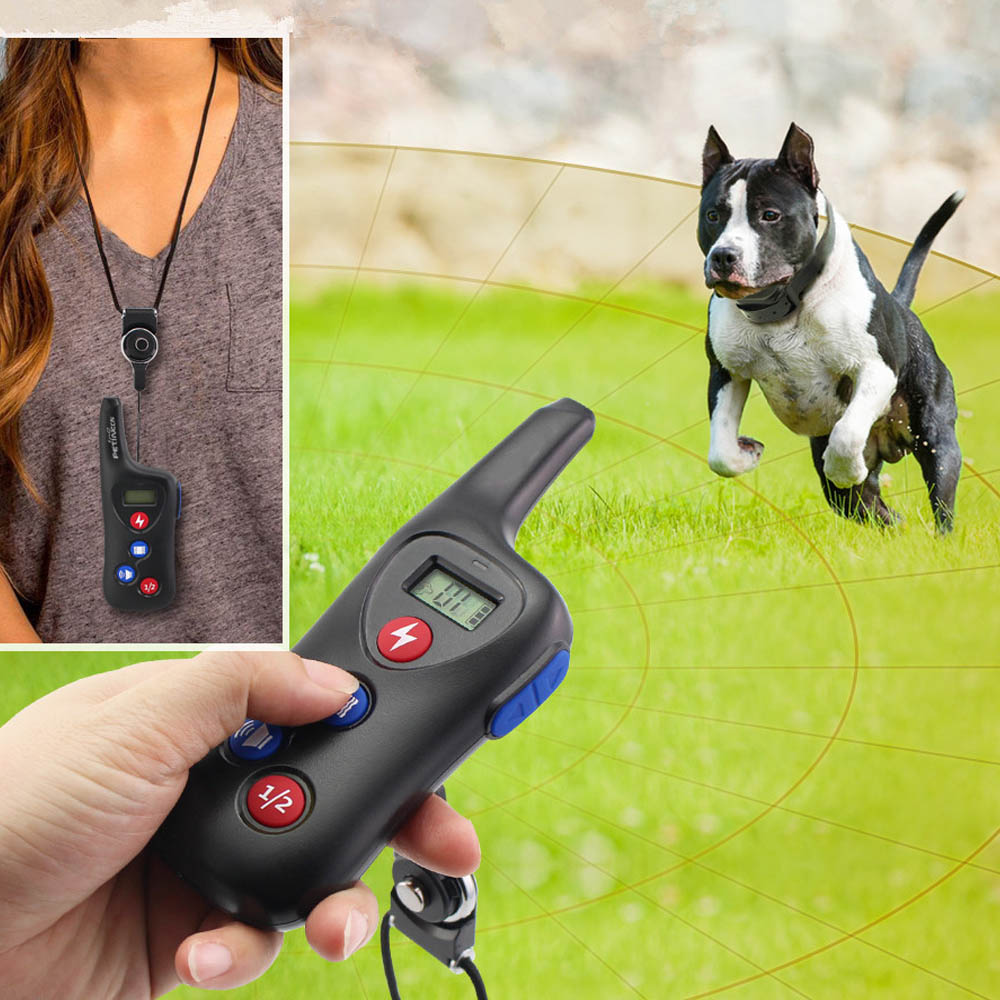 Pet Training Collar