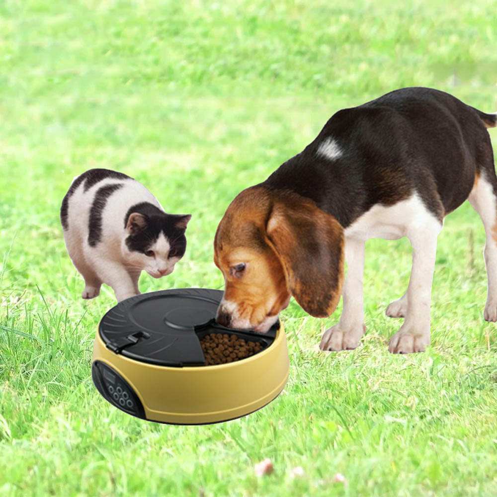 Pet Feeder